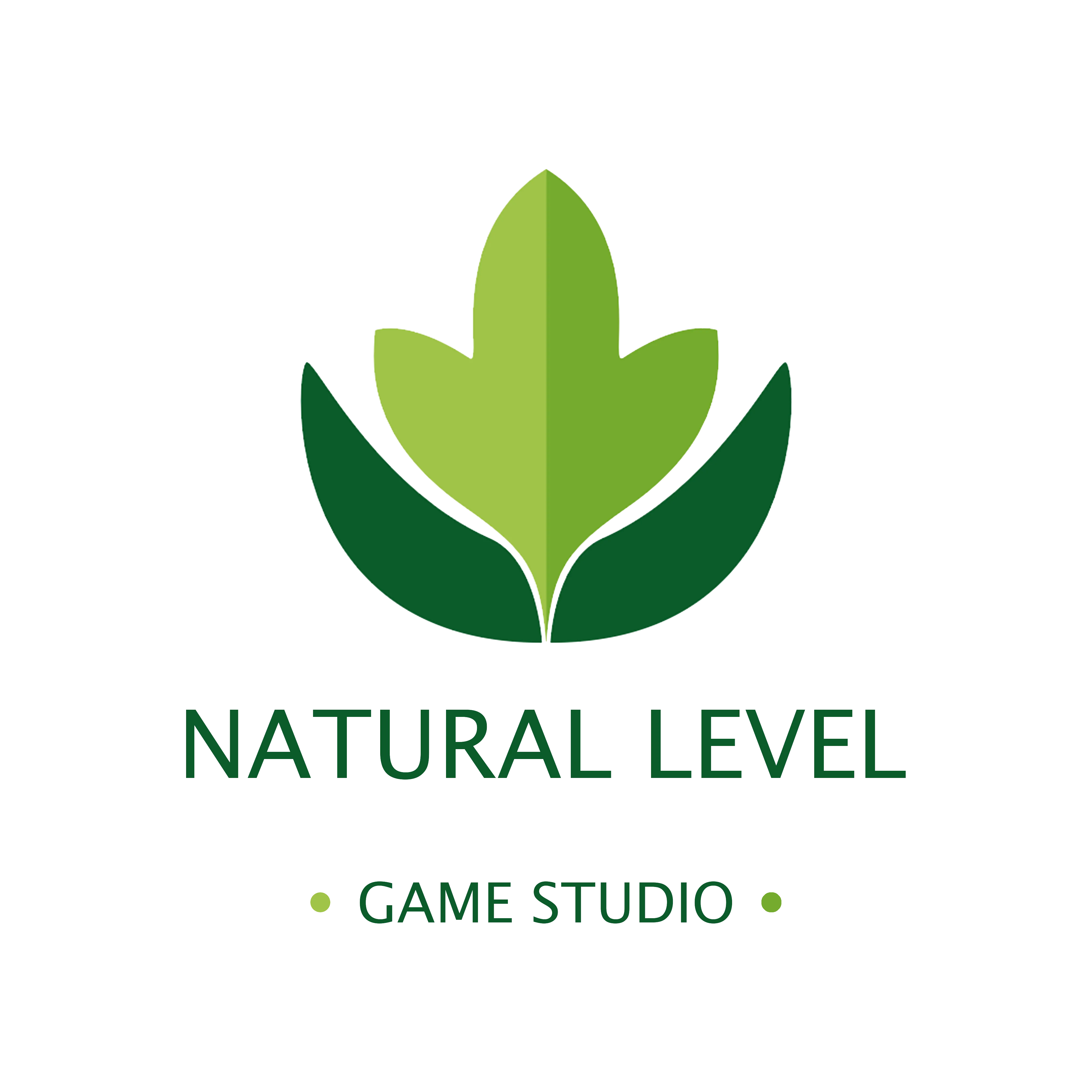 Natural Level Game Studio